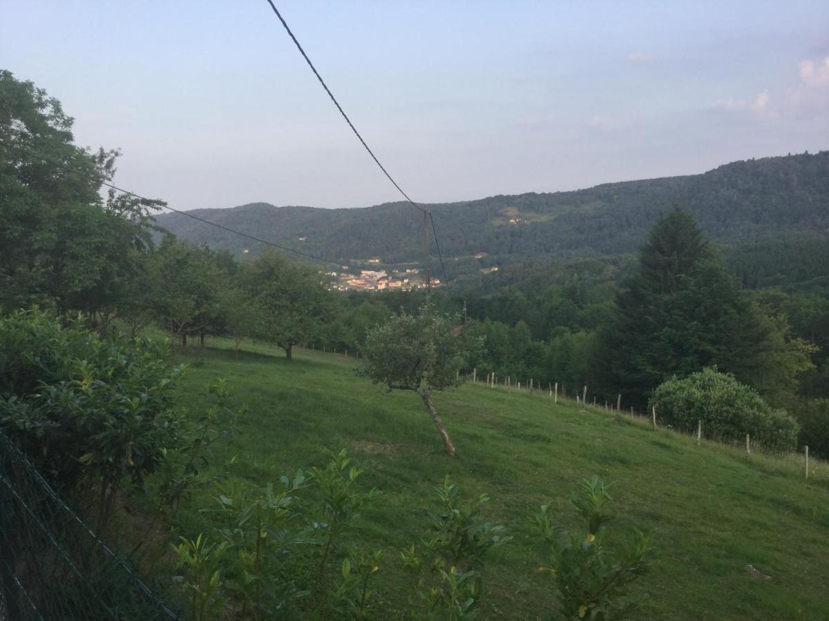 La Ferme De La-Haut B&B Le Haut-du-Them Екстер'єр фото